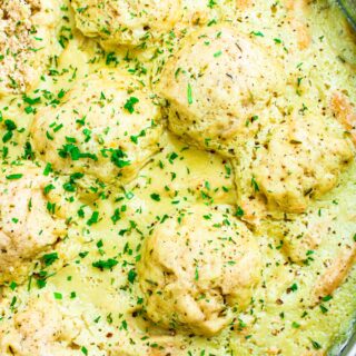 Close up overhead photo of creamy soy curl chicken stew with dumplings