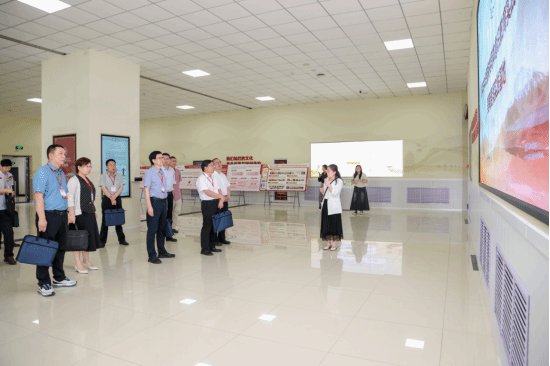 开云app登录入口